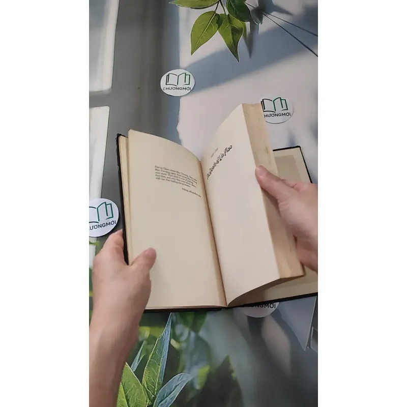 [MIỄN PHÍ BỌC SÁCH] [XƯA] The Chinese Assassin (1978) - Anthony Grey 990087