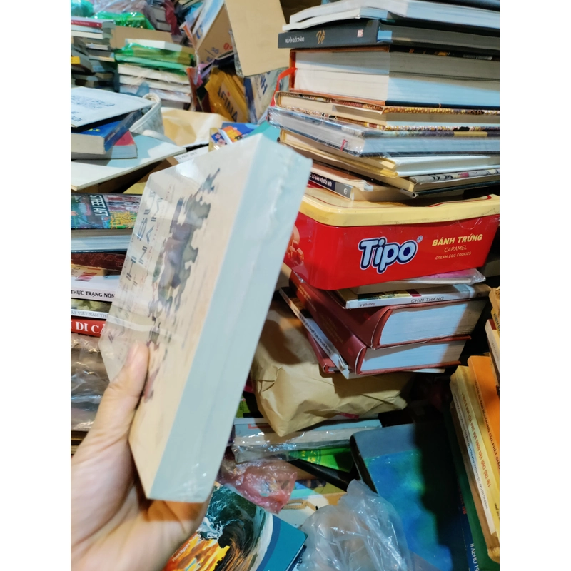 Lịch sử VN từ nguồn gốc đến thế kỉ xix  452215