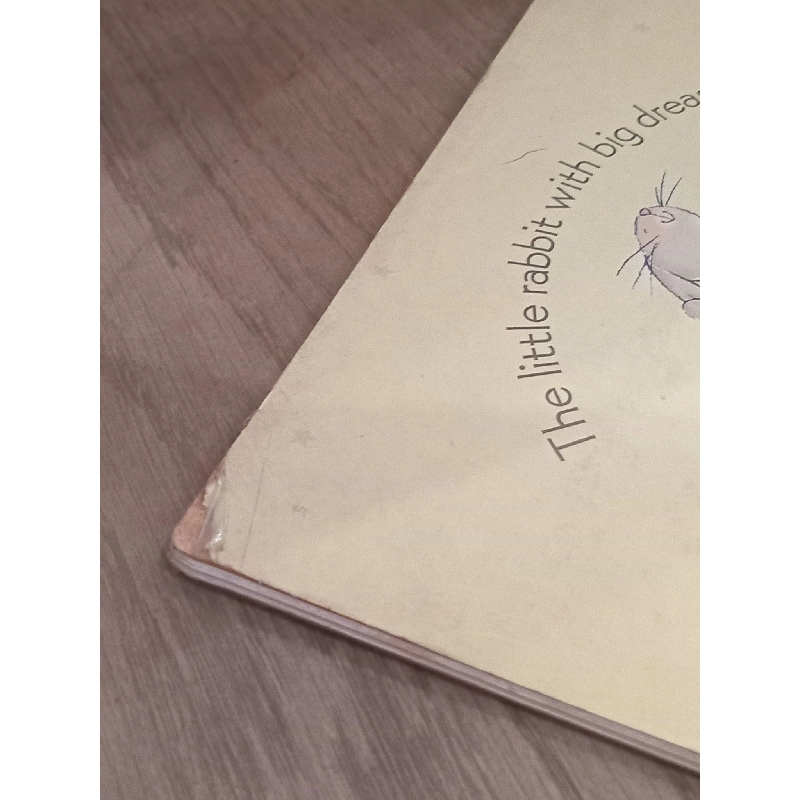 Lettice The Dancing Rabit - Mandy Stanley 1021731