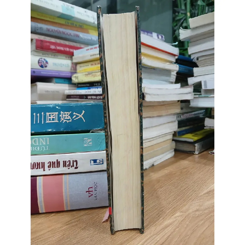 Bà mẹ Việt Nam anh hùng - Đà Nẵng – Thành phố anh hùng – (UBND Thành phố Đà Nẵng biên soạn) 589565