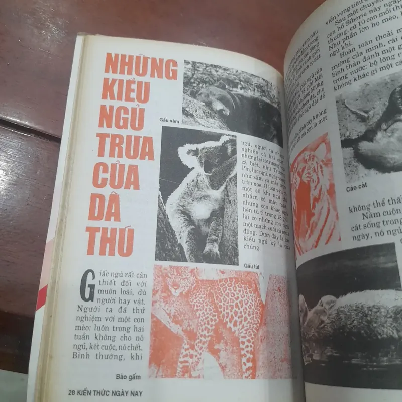 KIẾN THỨC NGÀY NAY số 219 ngày 20-8-1996 593574