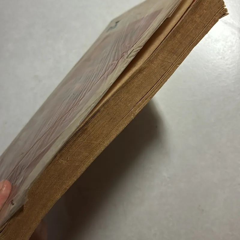 Cô gái đến biệt thự - Bùi Minh Quốc 800814