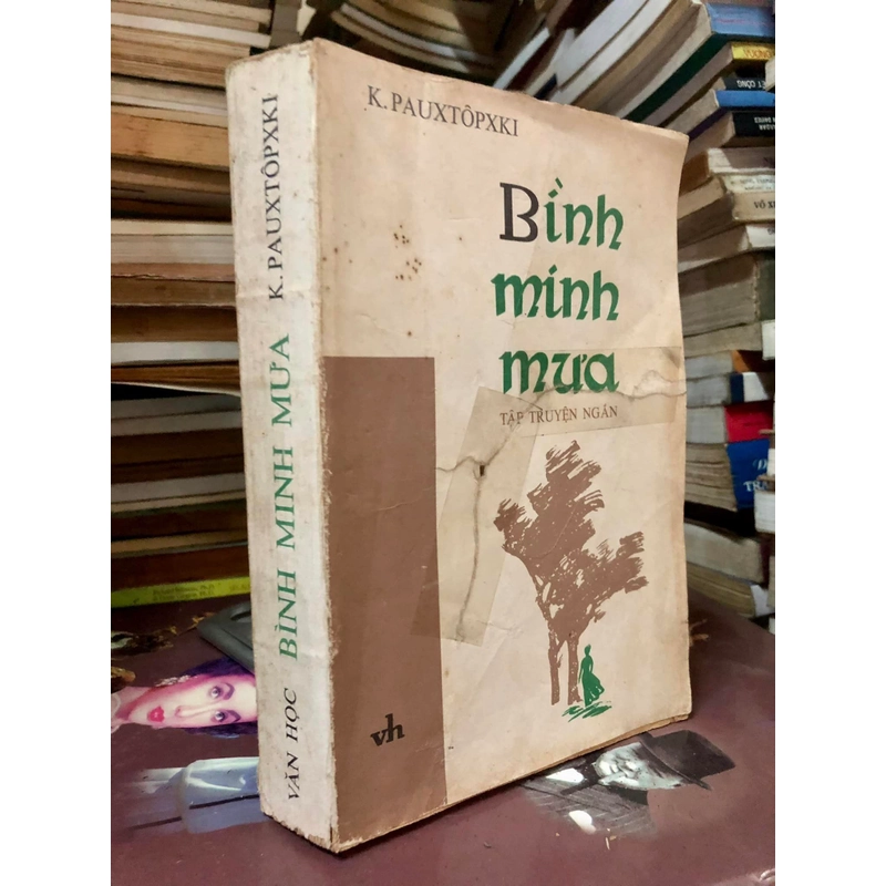 Truyện ngắn Bình minh mưa - K.Pauxtopxki 305489