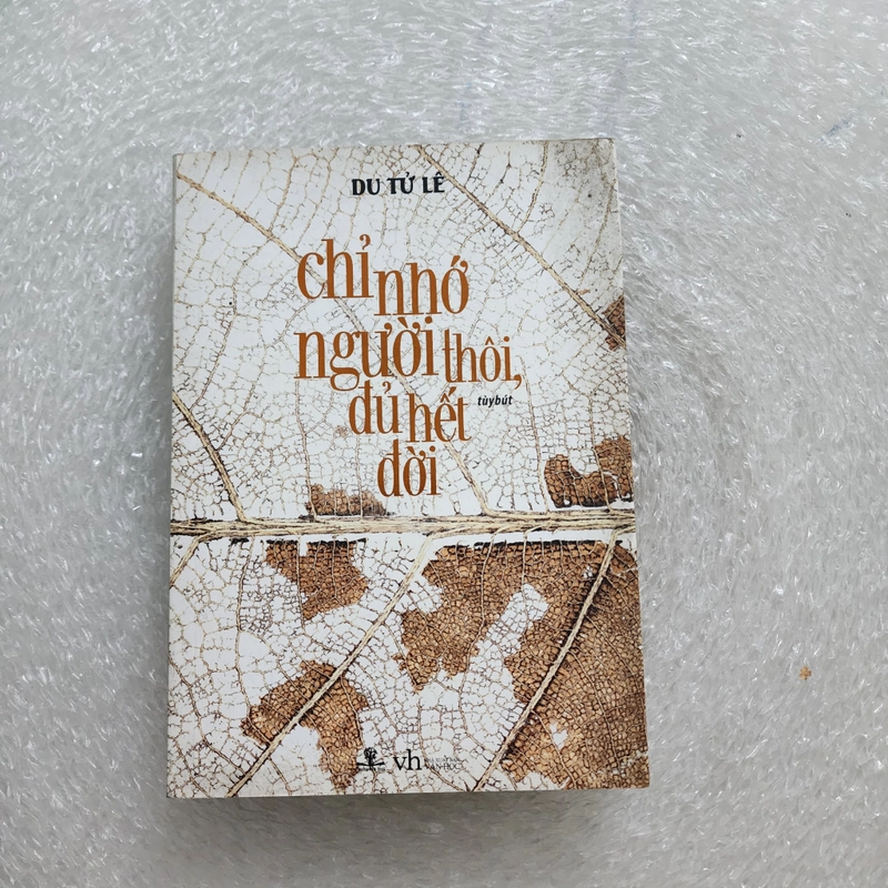 Chỉ nhớ người thôi, đủ hết đời | Du Tử Lê 460007