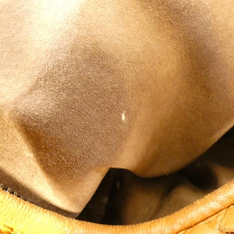 Bottega Veneta 232499 V0016 Túi - Hàng hiệu Chính hãng 770464