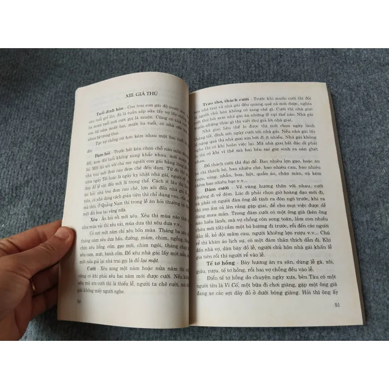 VIỆT NAM PHONG TỤC - PHAN KẾ BÍNH 729253