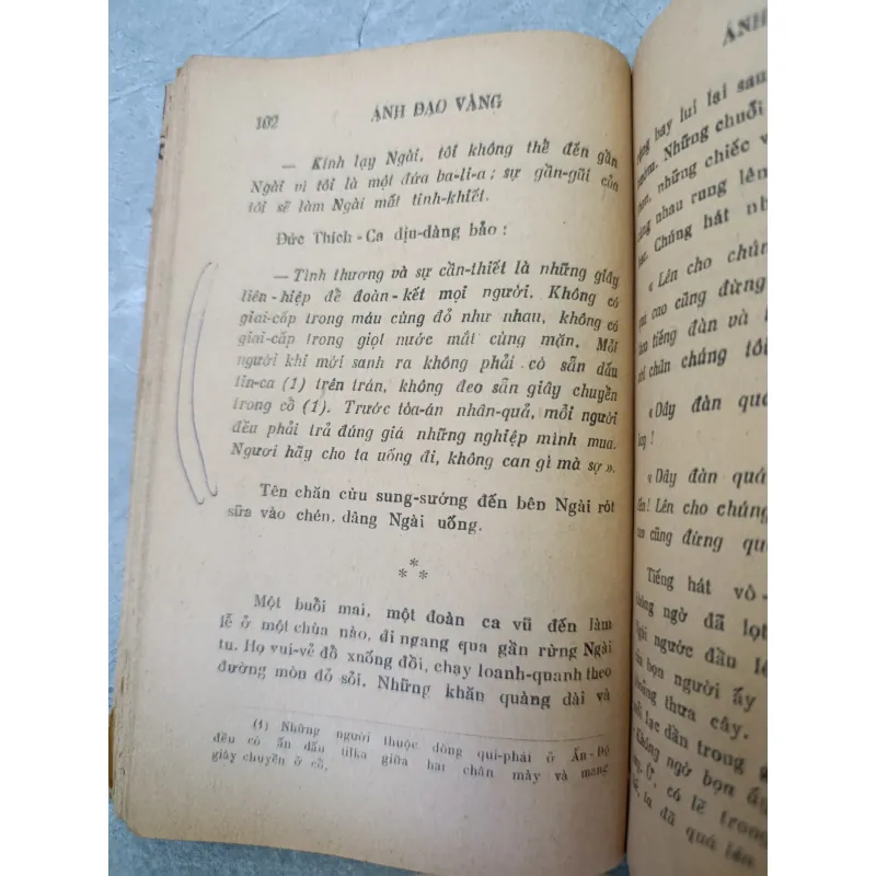 ÁNH ĐẠO VÀNG 592899