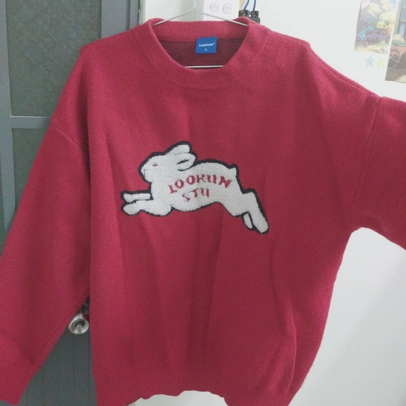 Áo sweater len màu đỏ | Hình in thỏ thêu nổi bằng len 476449