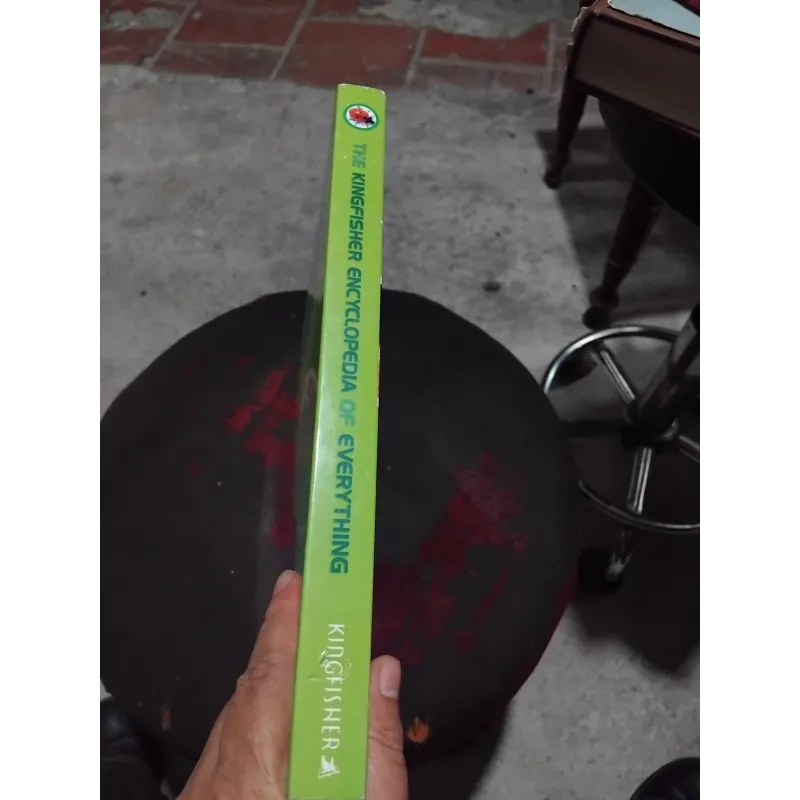 The Kingfisher enclopedia of everything  969956