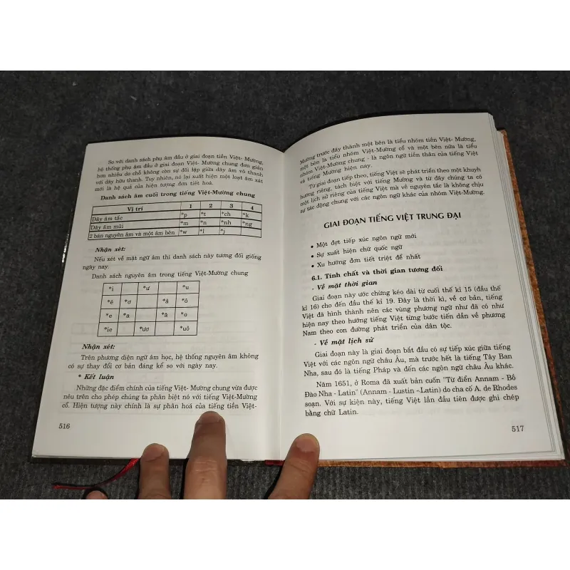 VĂN PHẠM TIẾNG VIỆT 991067