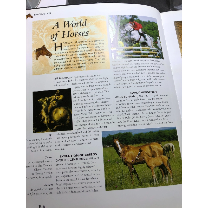Horses and Ponies 1000 pictures mới 80% tróc góc bìa Tamsin Pickeral HPB2607 NGOẠI VĂN 450837