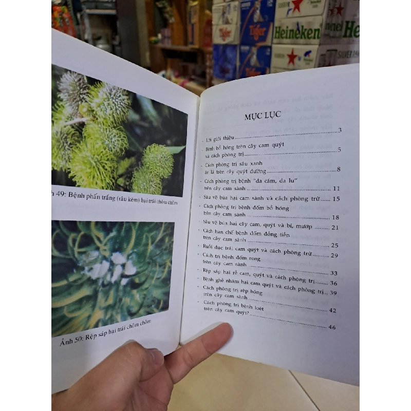 Hỏi đáp về phòng trừ dịch hại cây trồng quyển 5 cây ăn trái mới 90% Nguyễn Danh Vàn 2008 HCM0308 GIÁO TRÌNH, CHUYÊN MÔN 919339