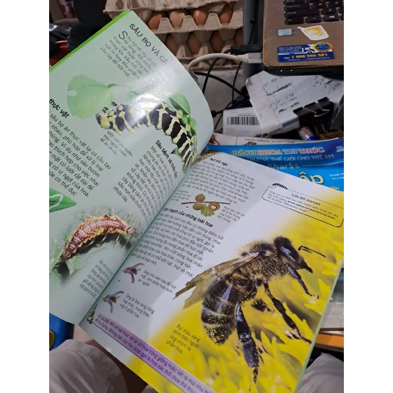 Bách Khoa Tri Thức Về Khám Phá Thế Giới Cho Trẻ Em - Các Loài Sâu Bọ - Rosie Dickins - - MẸ VÀ BÉ - HCM3012 924939