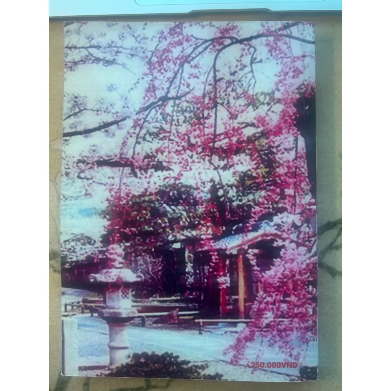 Sách Tự Học Chiết Tự Chữ Hán - Tái bản, Biên soạn Phạm Thị Thúy mới 90% 756789