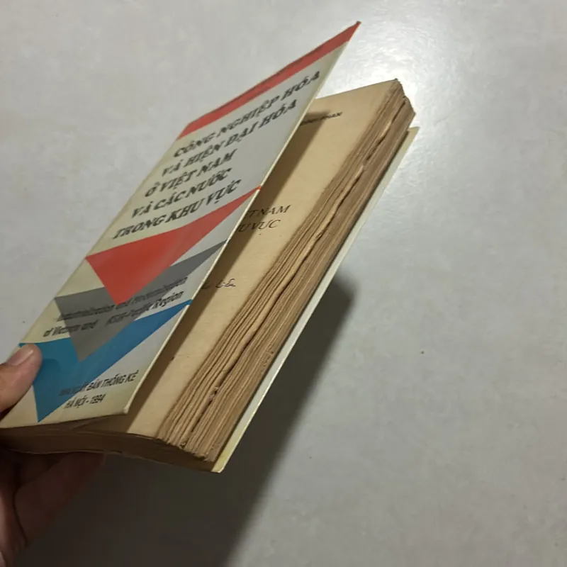 Công nghiệp hoá và hiện đại hoá ở Việt Nam và các nước trong khu vực 727021