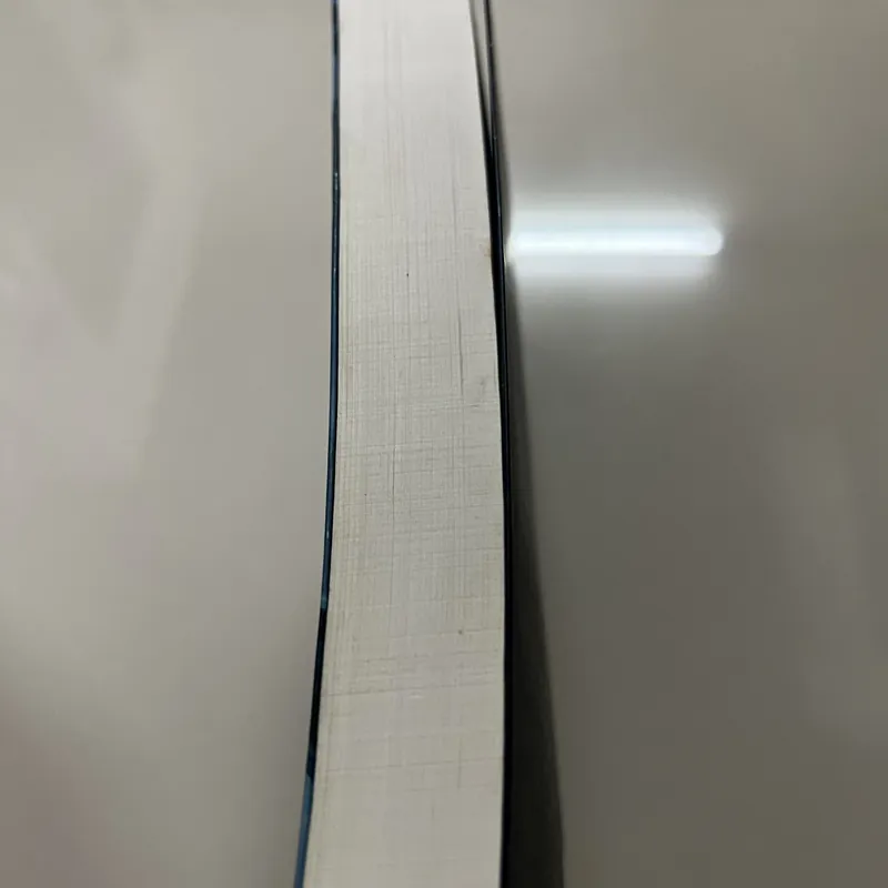 Chúa Đá ZAGGLA tập 2 662816