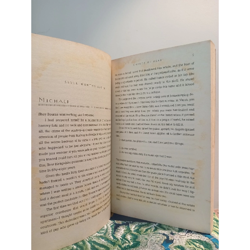 Change Of Heart - Jodi Picoult 449113