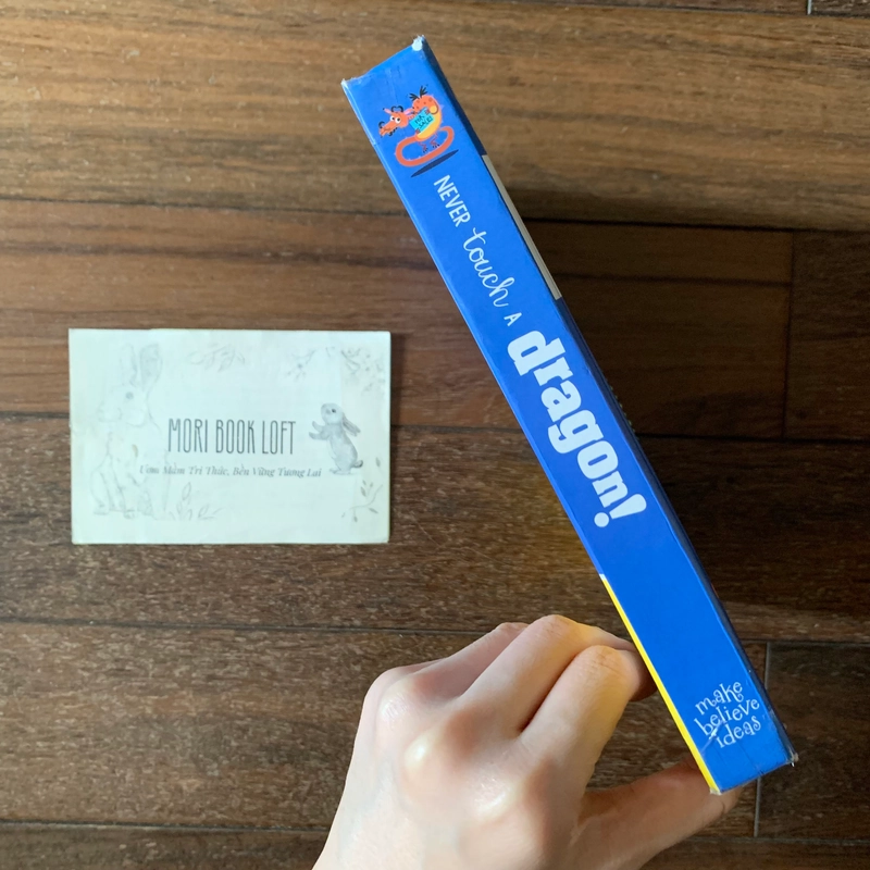 Sách ngoại văn Never Touch a Dragon – Sách sờ chạm, Used 542236
