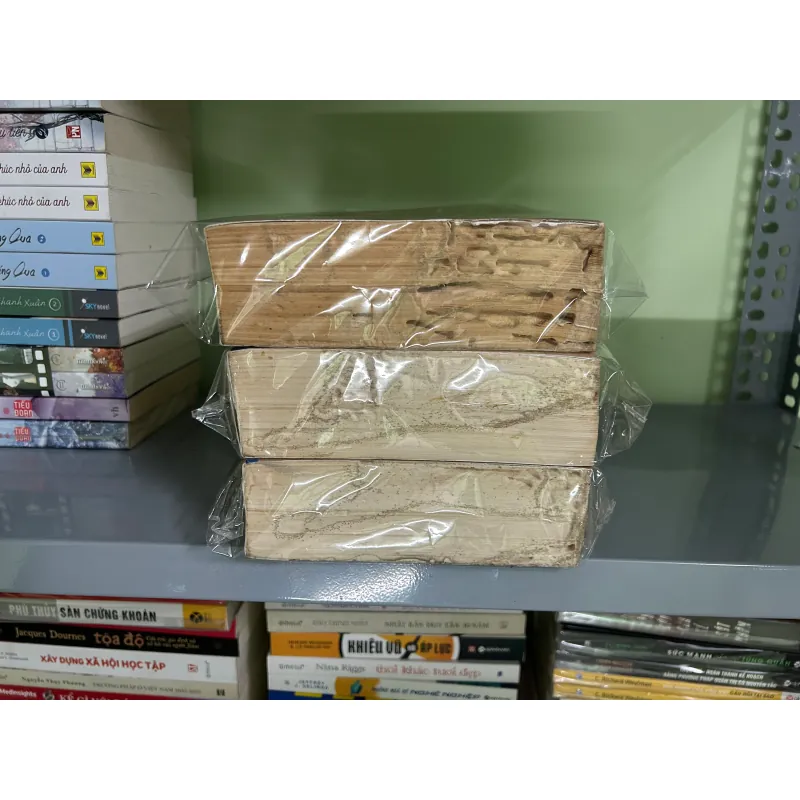 Sử ký tư mã thiên (bị mối ăn không ảnh hưởng đến chữ bên trong) 746792