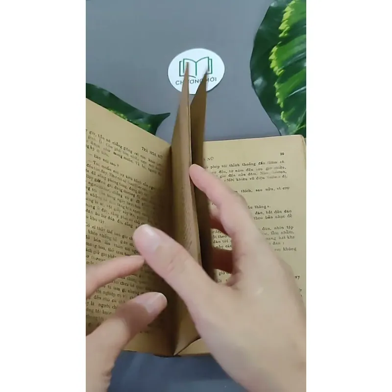 Trà Hoa Nữ 604659