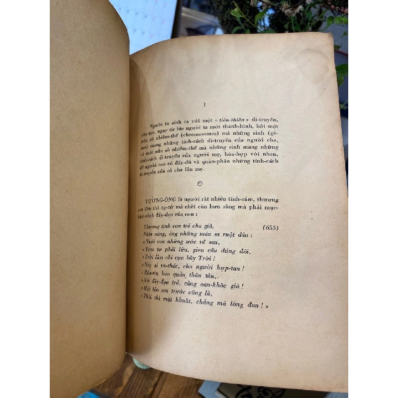 Ý niệm bạc mệnh trong đời Thuý Kiều - Đàm Quang Thiện 931951