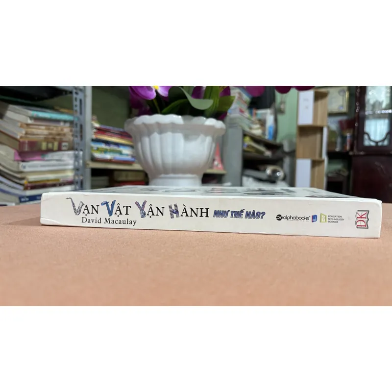 Vạn vật vận hành 🌊 673919