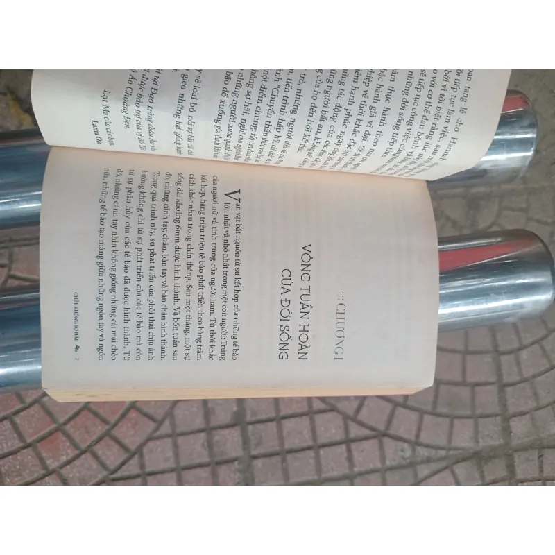 Chết không sợ hãi 1002393