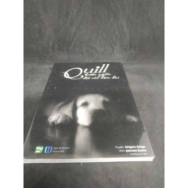Quill bước ngắn dệt nên dặm dài mới 100% HCM0802 910800