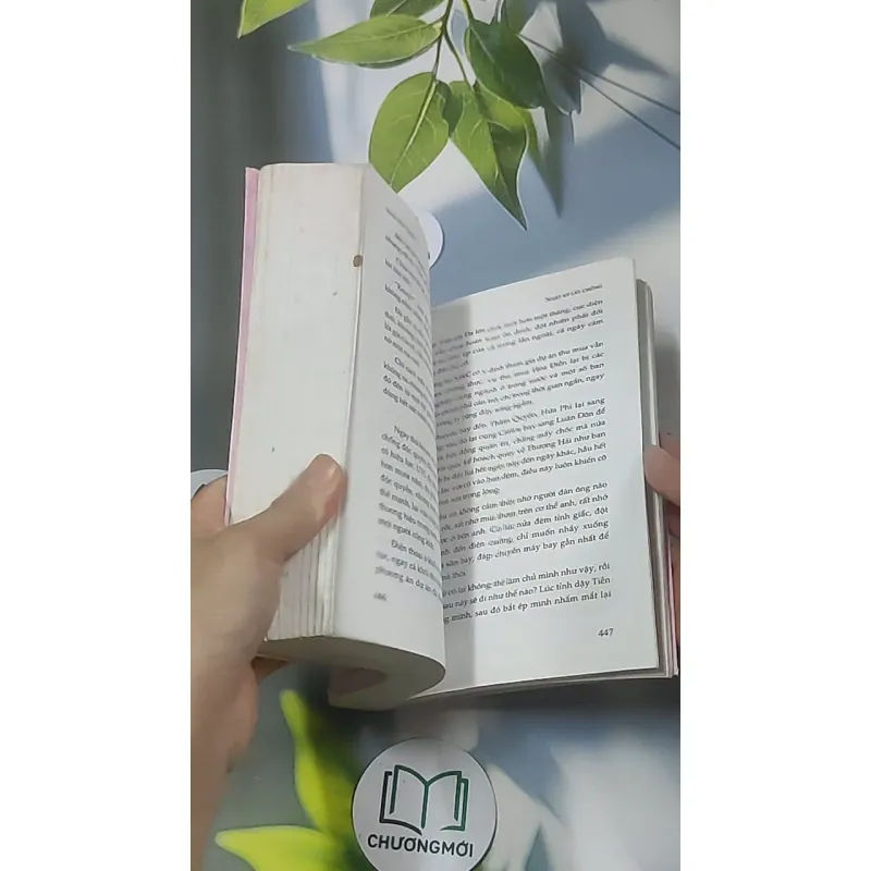 Nhật ký lấy chồng - Nhân Hải Trung 688623