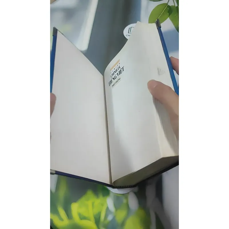 Từ Điển Chính Tả Tiếng Việt Phổ Thông - Nguyễn Văn Khang 727389