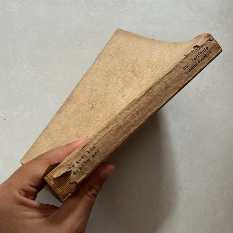 nửa đời nhìn lại — 1982s 498392