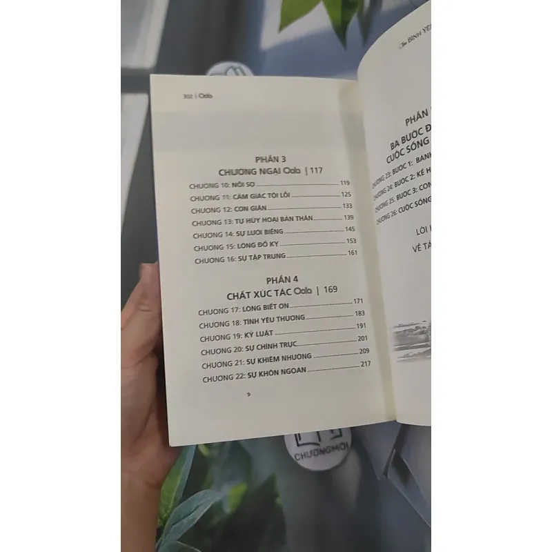 Tìm Bình Yên Giữa Vạn Biến - Dave Braun & Troy Amdahl 961253