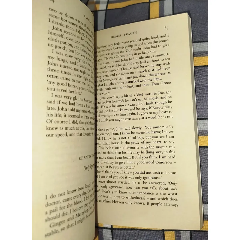 Sách Tiểu Thuyết Black Beauty của Anna Sewell - Sách tiếng Anh 617476