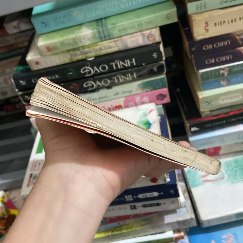 Đài các tiểu thư - Hồng Sakura 970182