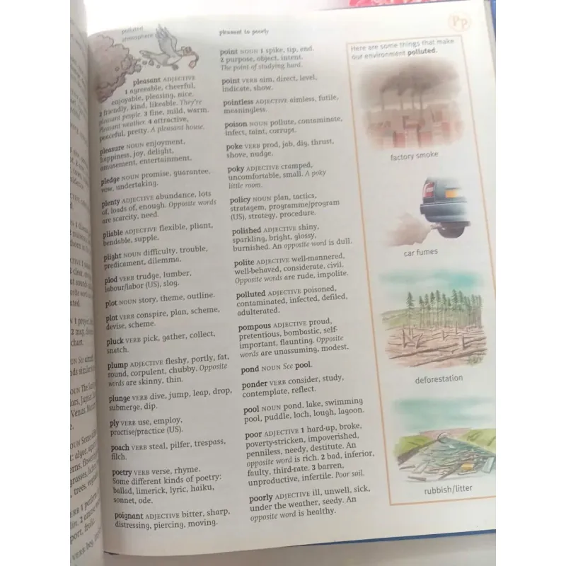 First Thesauru 1002082