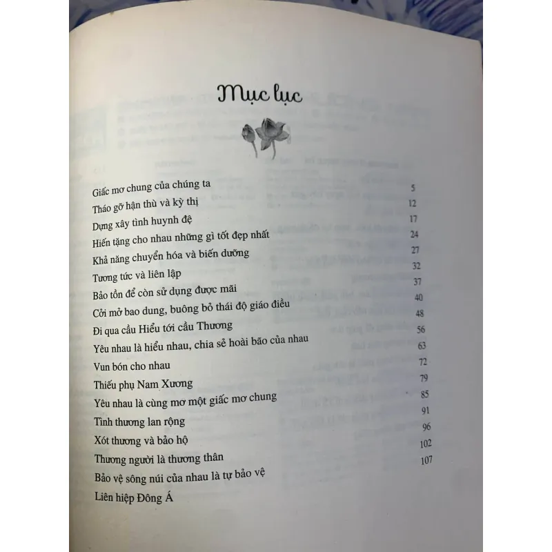 Tuổi Trẻ Tình Yêu Lý Tưởng - Thích Nhất Hạnh 731577