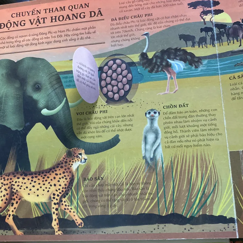 Atlas da tương tác  về động vật hoang dã 766035