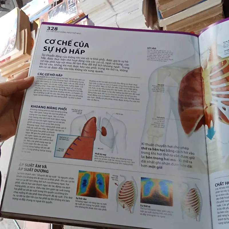 Atlas Giải Phẫu Cơ Thể Người Hướng Dẫn Trực Quan Chính Xác - BS. Alice Roberts  783532