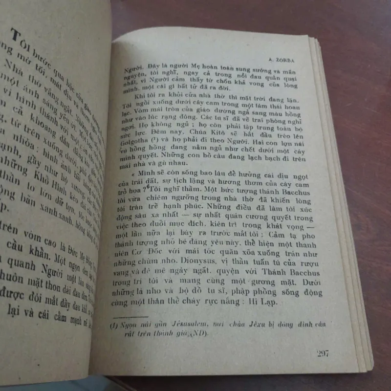 CON NGƯỜI HOAN LẠC - DƯƠNG TƯỜNG 763727