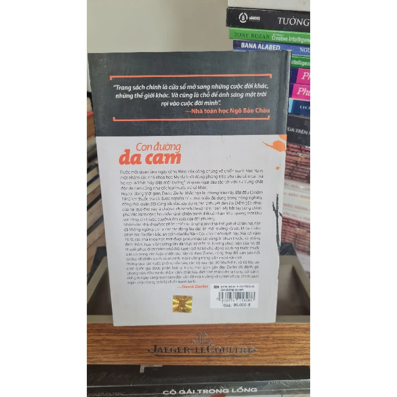 Con đường da cam - David Zierher 407692