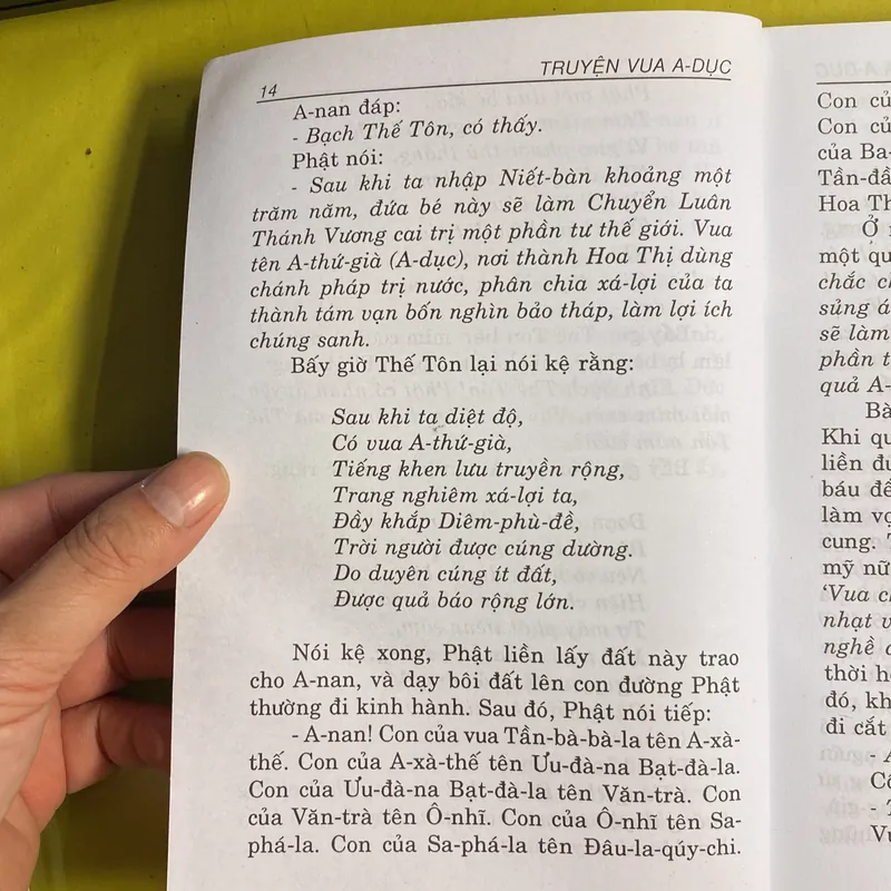 Truyện Vua A Dục - Tam Tạng An Pháp Khâm dịch hán ngữ - Thích Tuệ Thông Việt dịch 605505