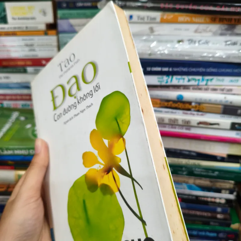 Đạo     🌱 563793