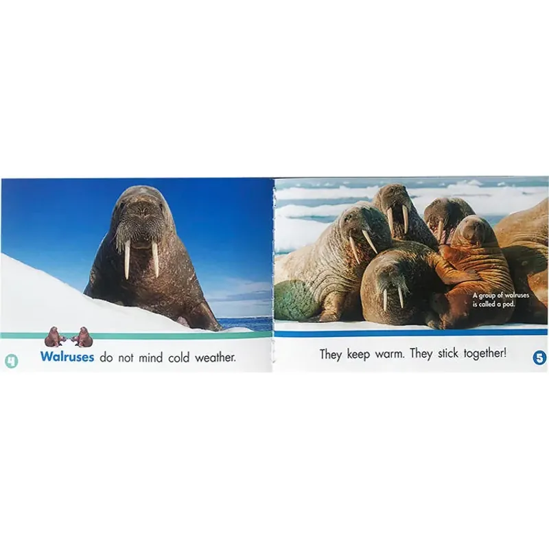 Lets find out level 1+2 (Sách nhập) - Mỗi level 24 quyển + File Mp3 759596