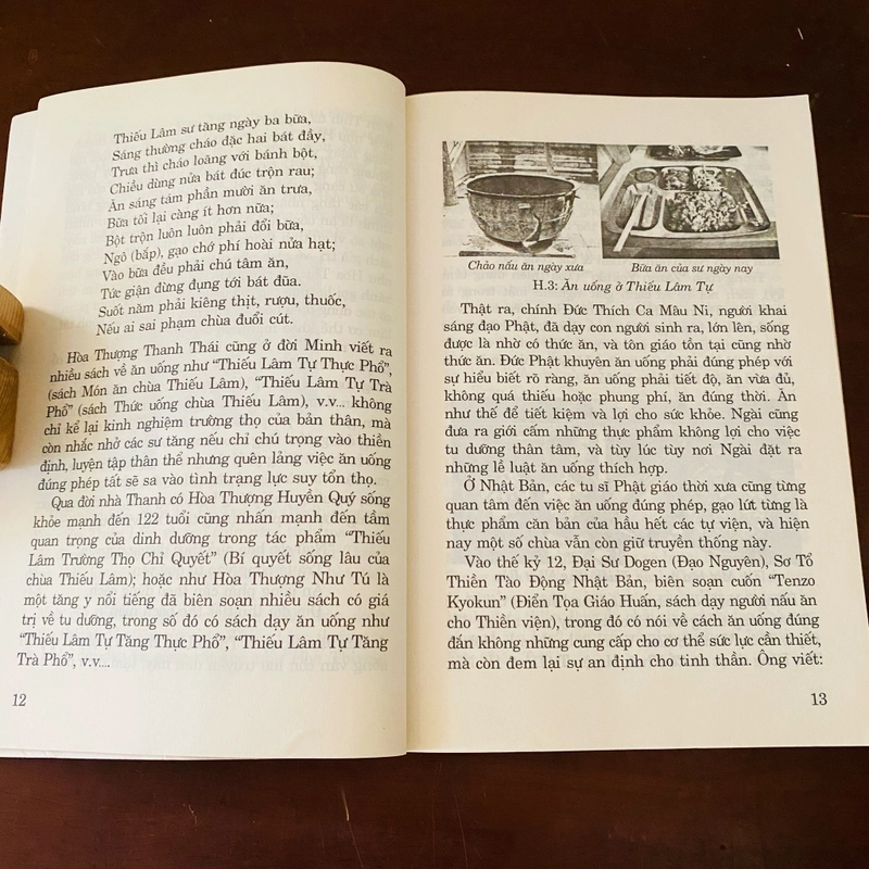 Vui khoẻ đường tu: ăn uống tu hành, thiền, khí công, nhân điện màu thiền trên đồng ruộng  447961