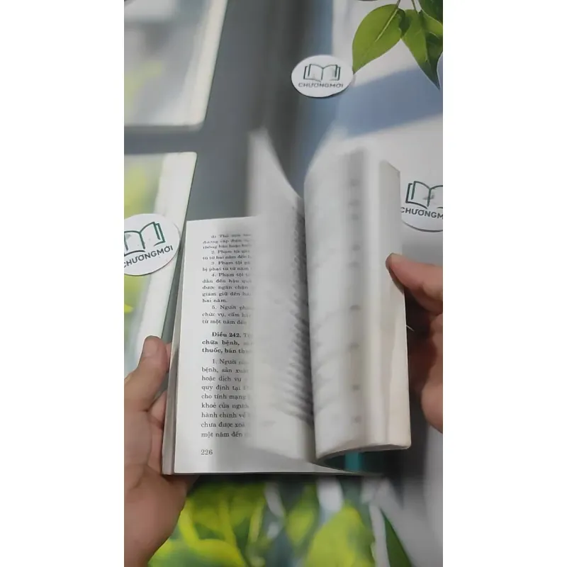 Bộ Luật Hình Sự Năm 1999  Được Sửa Đổi, Bổ Sung 2009 727364