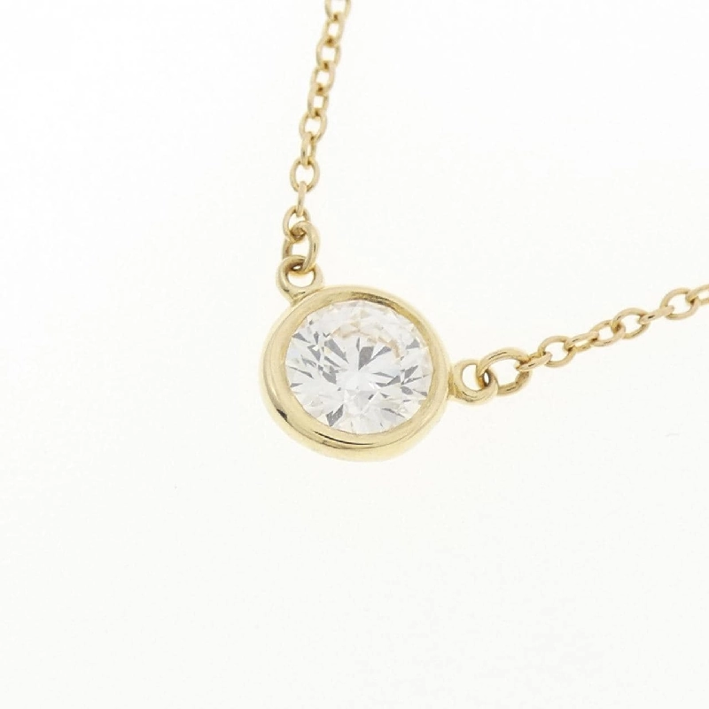 Dây chuyền Tiffany By The Yard - Hàng hiệu Authentic 843563