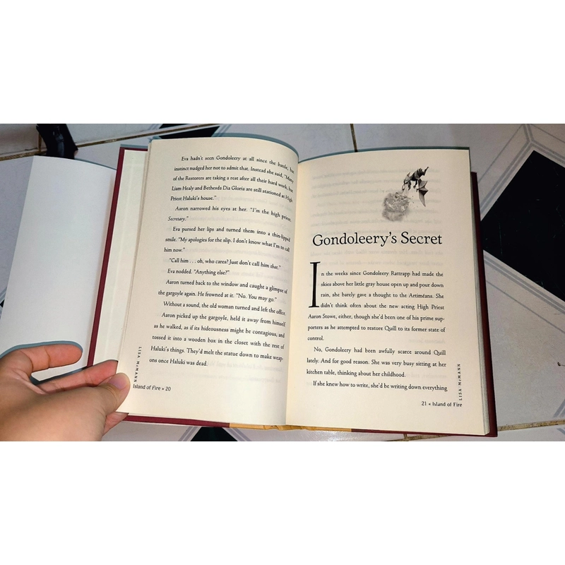 Sách Chapter: The Unwanteds  - Island of Fire (Lisa McMann) #NYT Bestselling series  470396