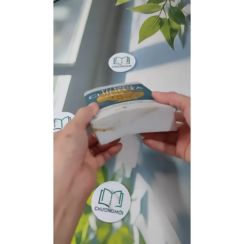 Từ Điển Chính Tả Tiếng Việt 727289