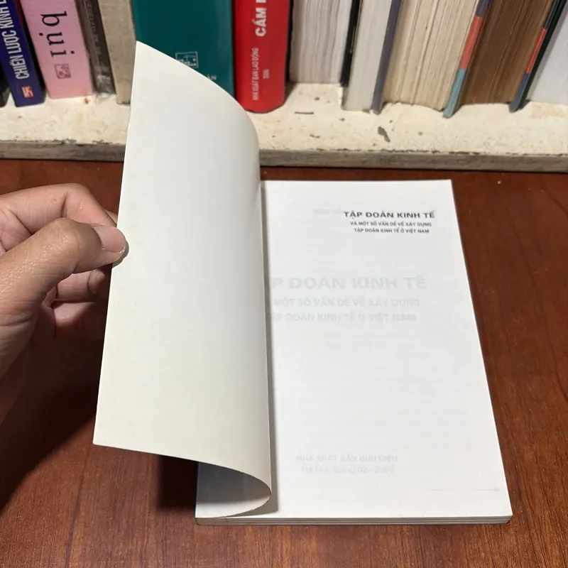II Tập Đoàn Kinh Tế Và Một Số Vấn Đề Về Xây Dựng Tập Đoàn Kinh Tế Ở Việt Nam - Minh Châu 755370