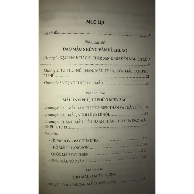 Đạo Mẫu Việt Nam  751404